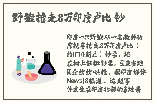 女人光棍天堂